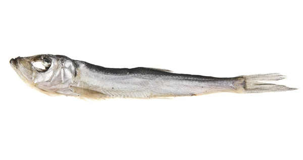 Räucherfisch auf weißem Hintergrund — Stockfoto