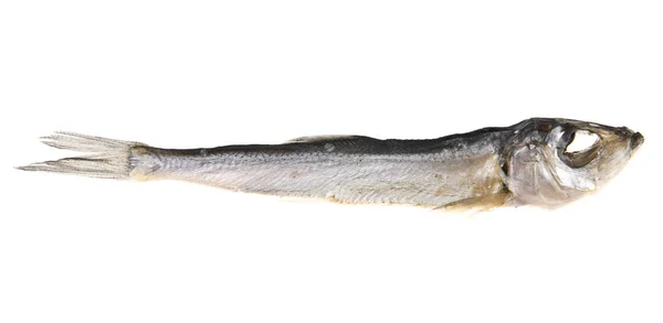 Räucherfisch auf weißem Hintergrund — Stockfoto