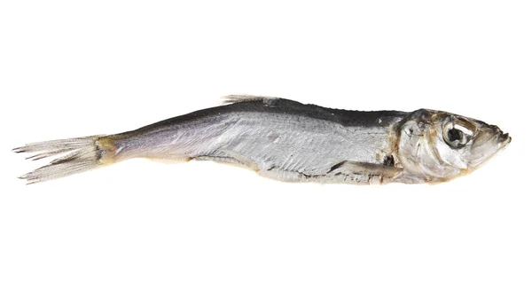 Räucherfisch auf weißem Hintergrund — Stockfoto