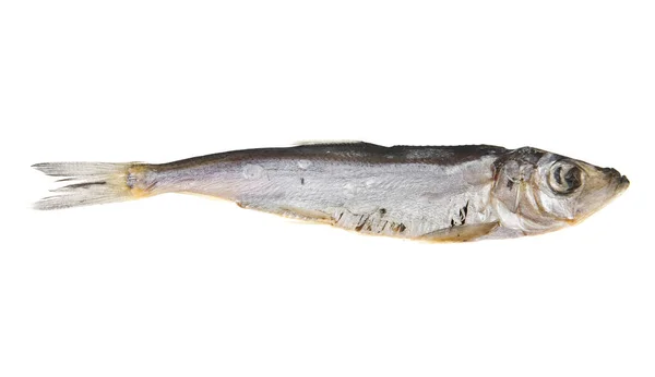 Beyaz arka planda füme balık — Stok fotoğraf