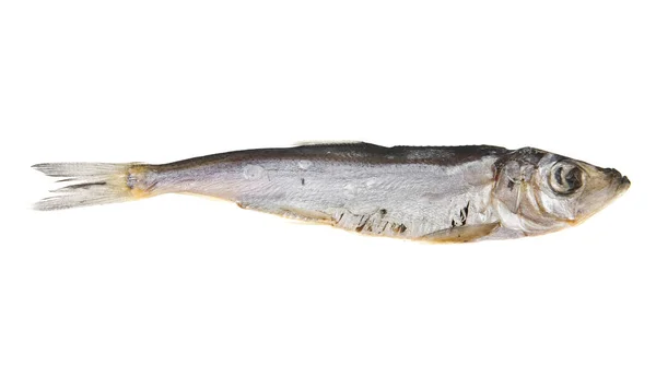 Peixe fumado no fundo branco — Fotografia de Stock