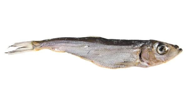 Räucherfisch auf weißem Hintergrund — Stockfoto