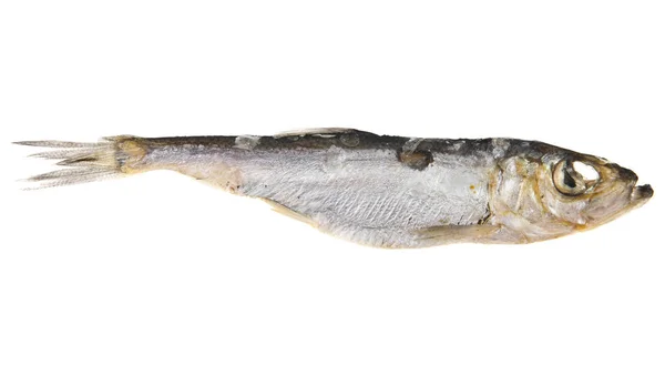 Peixe fumado no fundo branco — Fotografia de Stock