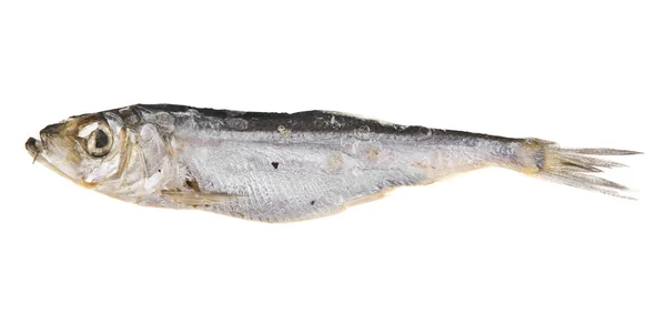 Rökt fisk på vit bakgrund — Stockfoto