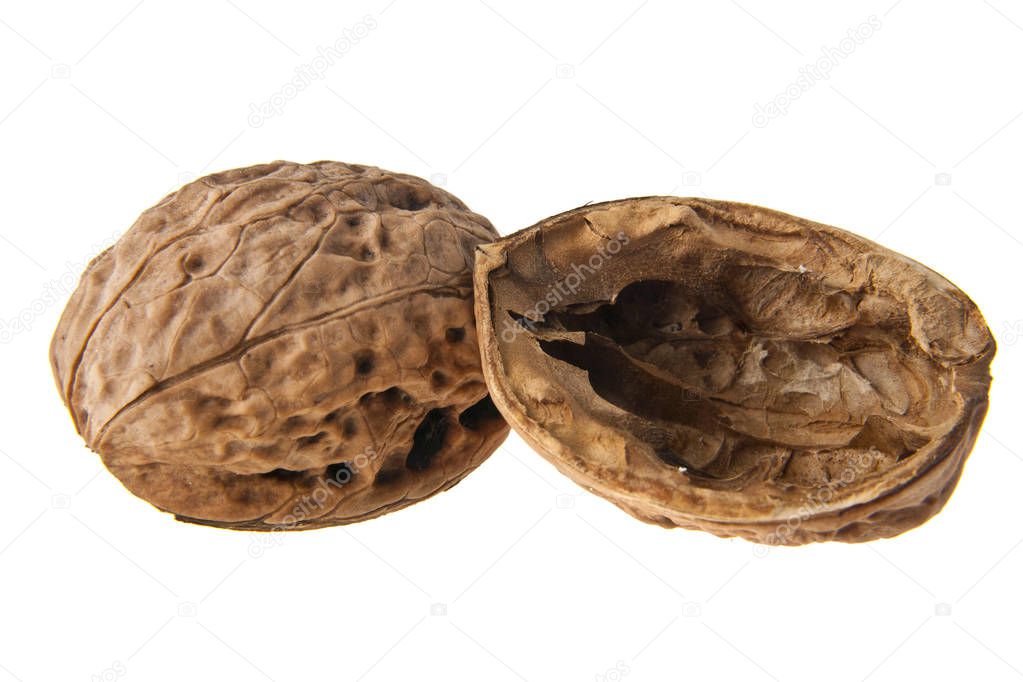 walnuts isolated on white background