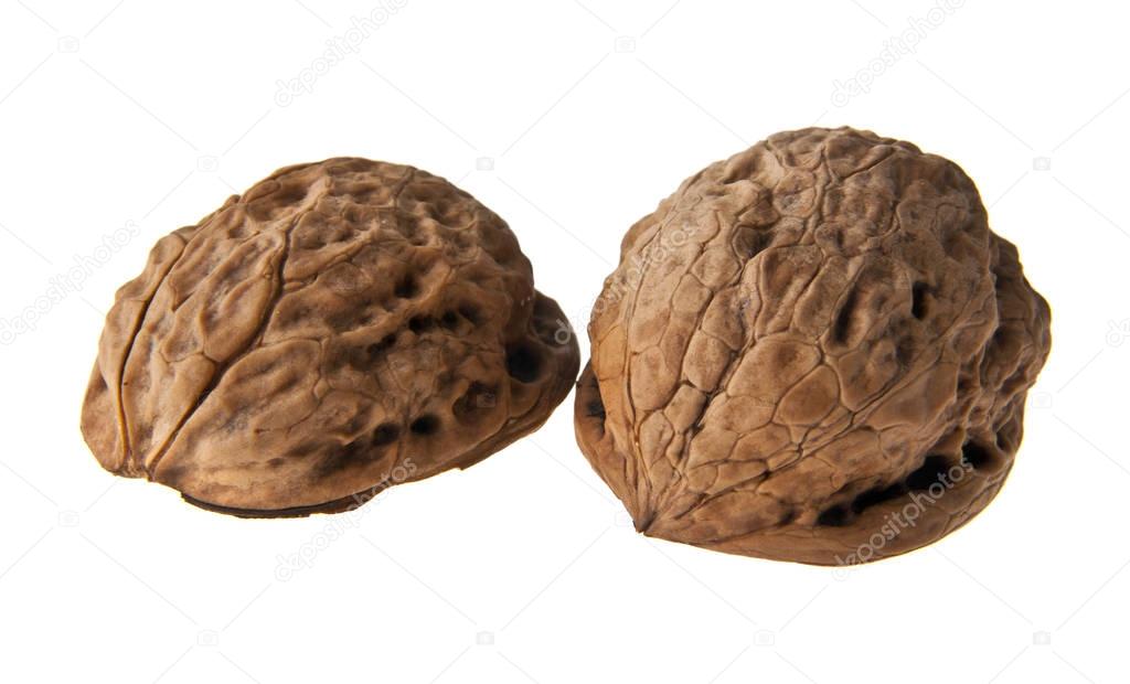 walnuts isolated on white background