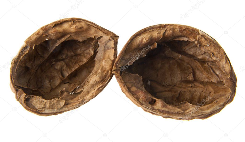 walnut isolated on white background