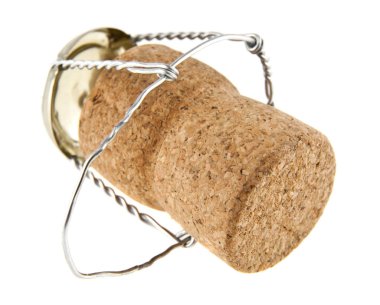 siyah arka plan üzerine mantar