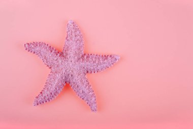 pembe arka plan üzerinde pembe deniz yıldızı