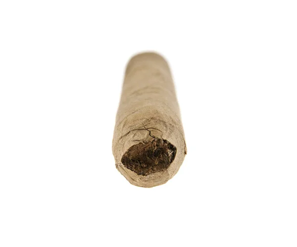 Cigar på vit bakgrund — Stockfoto