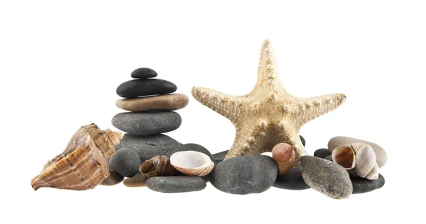 Conchiglie, rocce e stelle marine — Foto Stock