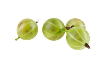 Beyaz arka planda Bektaşi üzümü