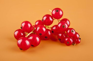 kahverengi bir arka plan üzerinde kırmızı kuş üzümü