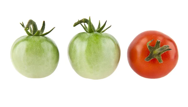 Tomates sobre fondo blanco — Foto de Stock