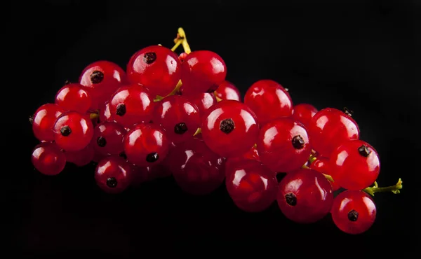 Röda vinbär på en svart bakgrund-närbild — Stockfoto