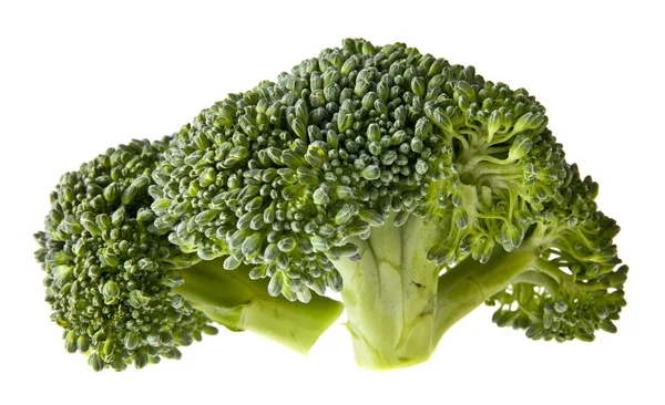 Verse Broccoli op witte achtergrond — Stockfoto