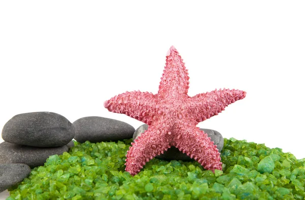 Piedras, estrellas de mar y sal marina verde — Foto de Stock