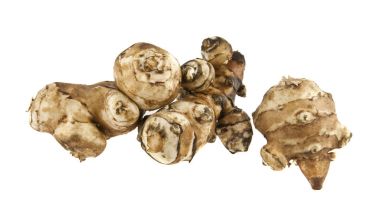 Beyaz arkaplanda Kudüs enginarı