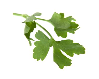 Beyaz arka plan closeup izole maydanoz