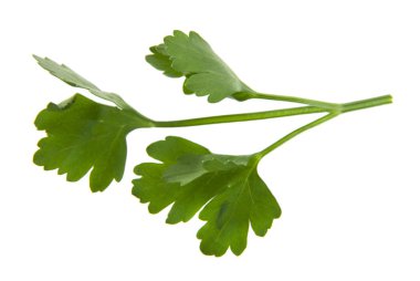 Beyaz arka plan closeup izole maydanoz