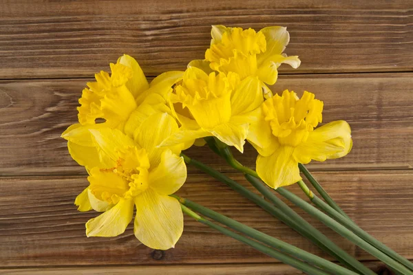 Flores de primavera amarillo Narciso — Foto de Stock