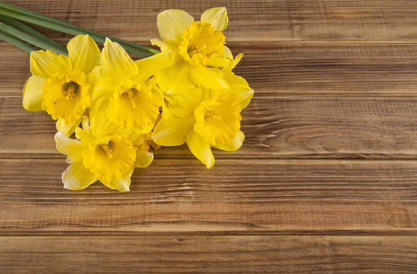 Våren blommor gula narcisser — Stockfoto