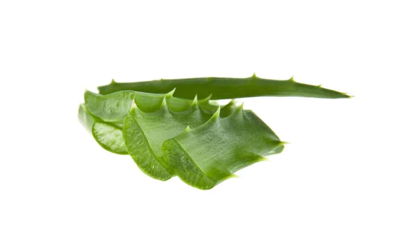 Aloe on white background — Stock Photo, Image