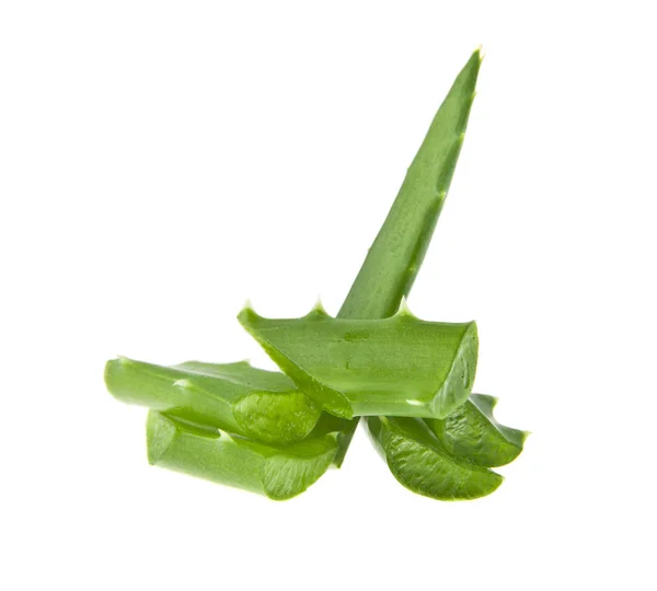 Aloe isolerad på vit bakgrund närbild — Stockfoto