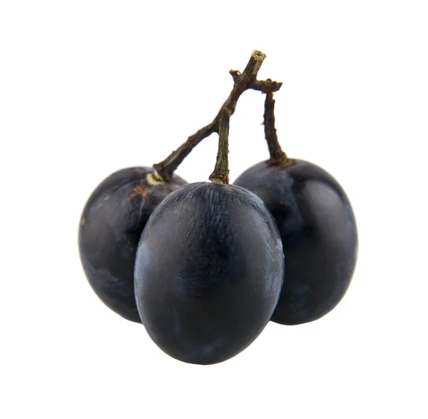 Cacho de uvas — Fotografia de Stock