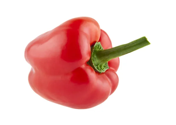 Pimiento rojo sobre fondo blanco — Foto de Stock