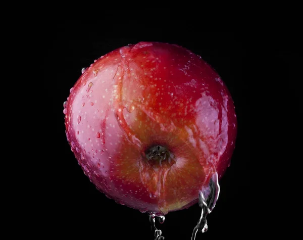 Manzanas en gotas de agua —  Fotos de Stock