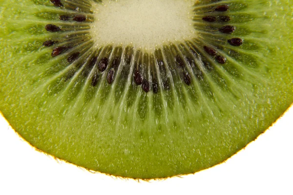 Kiwi isoliert auf weißem Hintergrund Nahaufnahme — Stockfoto