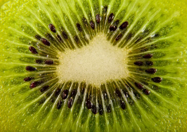 Textura de kiwi — Foto de Stock