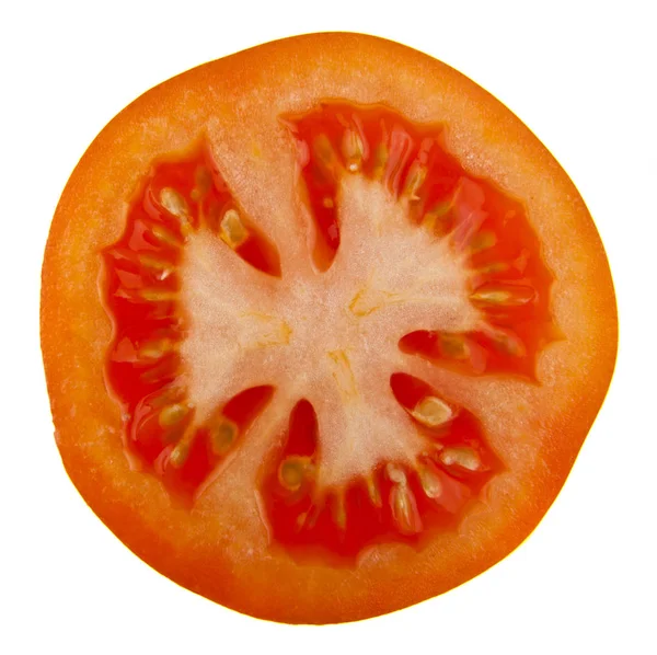 흰색 바탕에 토마토 — 스톡 사진