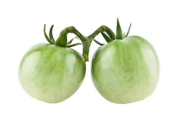 Tomates vertes sur fond blanc — Photo