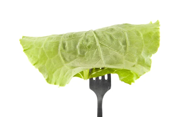 Leaves of lettuce — Stock Photo, Image