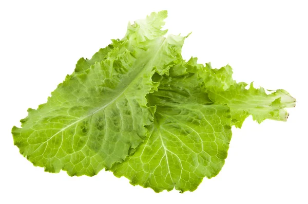 Green salad on white background — Stock Photo, Image