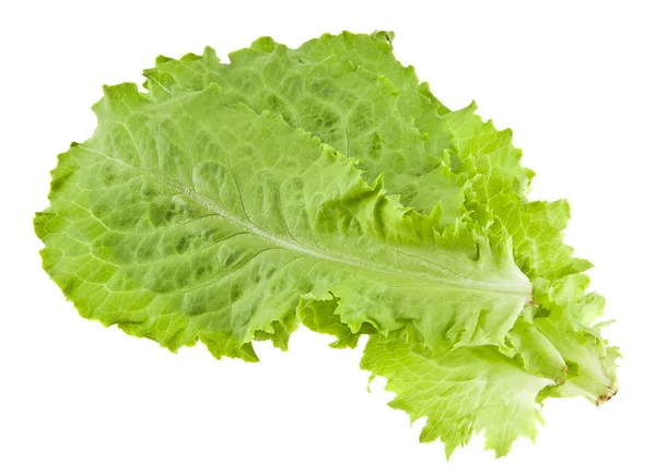Salada verde sobre fundo branco — Fotografia de Stock