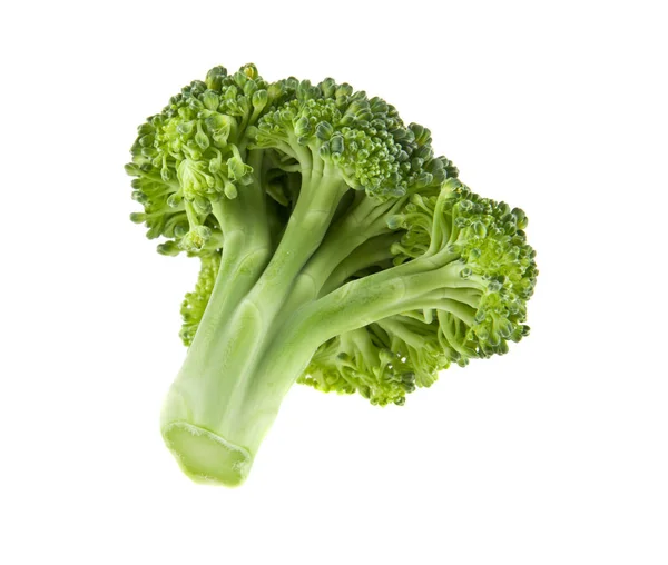 Verse Broccoli op witte achtergrond — Stockfoto