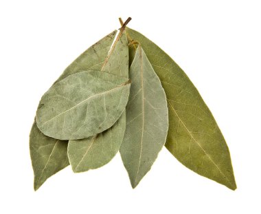 Beyaz arkaplanda defne yaprağı