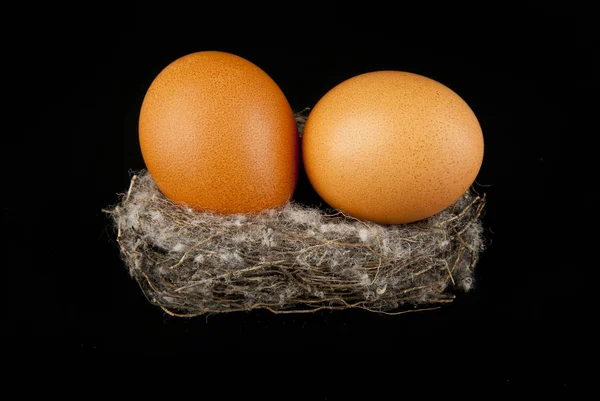 Huevos en el nido — Foto de Stock