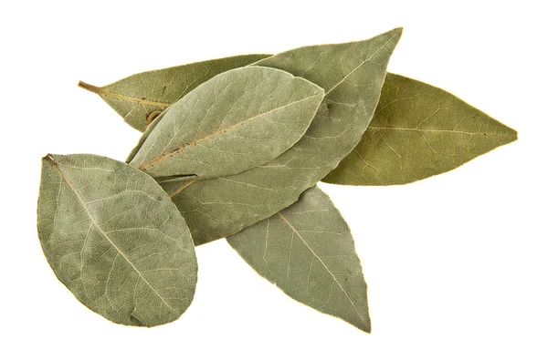 Beyaz arkaplanda körfez yaprakları