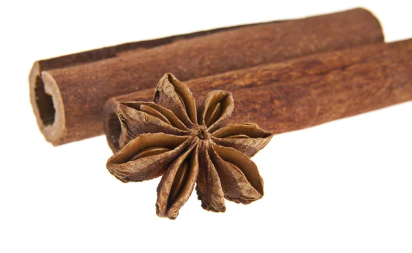 Cinnamon stick and star anise spice — Stock Photo, Image