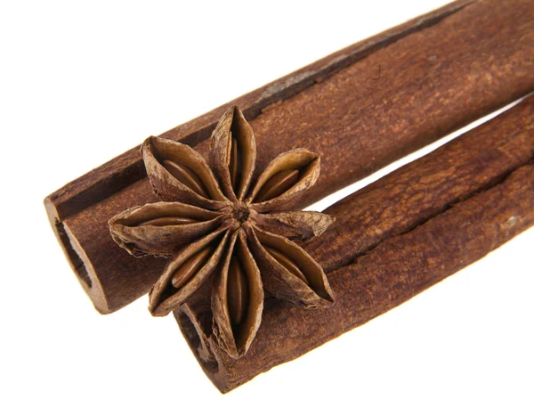 Cinnamon stick and star anise spice — Stock Photo, Image