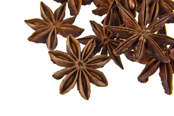 Пряности Star Anise — стоковое фото