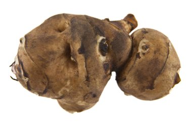 Beyaz arka plan üzerinde izole elması