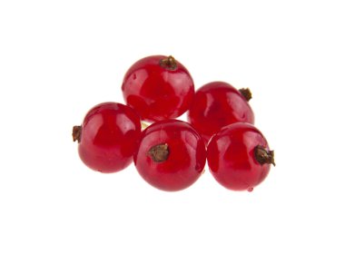Beyaz arka plan closeup izole kırmızı kuş üzümü
