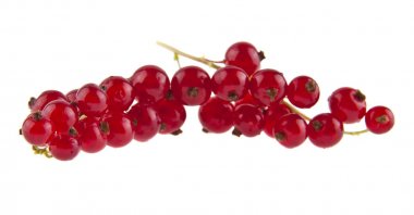 Beyaz arka plan closeup izole kırmızı kuş üzümü