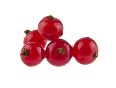 Beyaz arka plan closeup izole kırmızı kuş üzümü