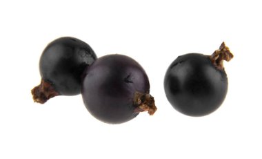 Beyaz arka plan closeup izole Siyah frenk üzümü